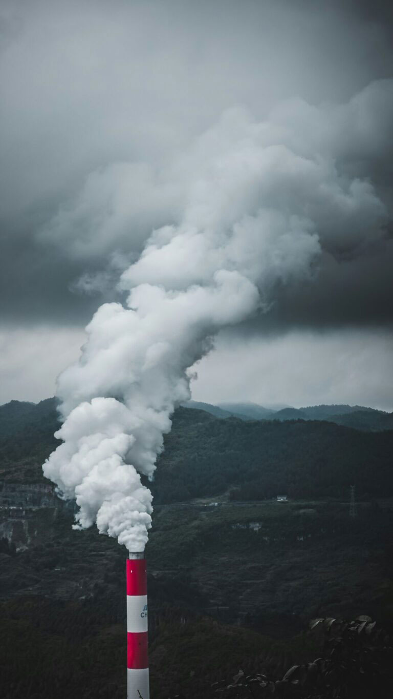 Lowering Your Carbon Footprint 768x1364